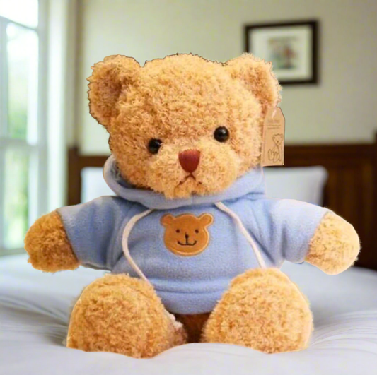 Ichi The Bear